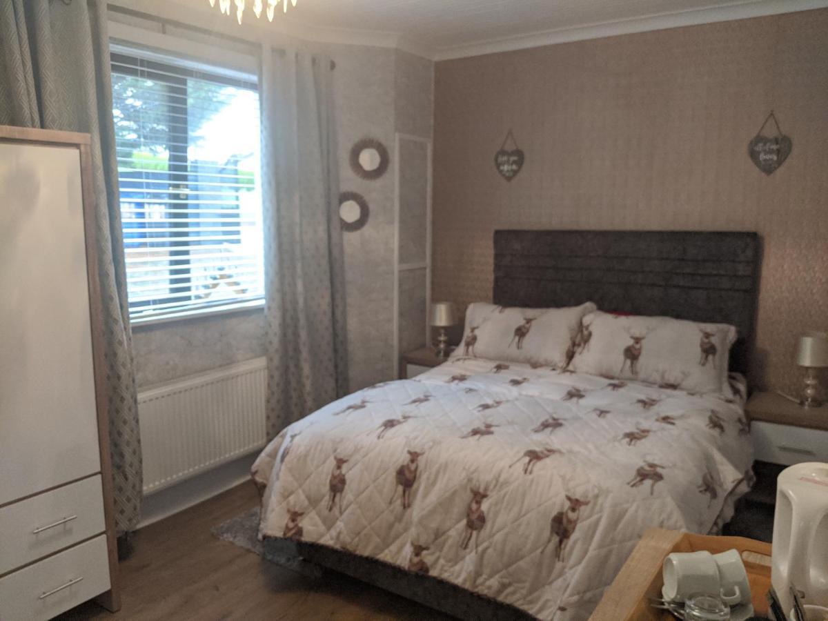 Hunters Lodge B&B 特拉莫尔 外观 照片